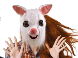 Mask-Rabbit
