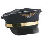 Hat Pilot-Wings