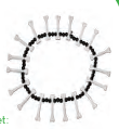 Necklace-Jumgle Bones/Skull
