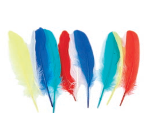 Feather 13.3" 10pcs. Ass.