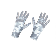 Glove