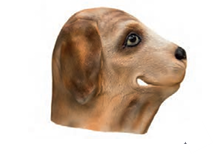 Mask