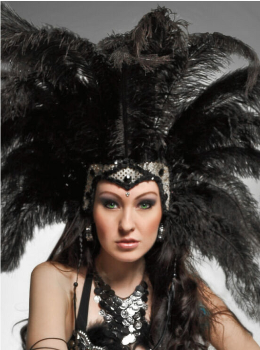 Costume Headpiece