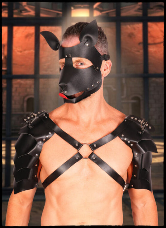 Leather Face Mask, dog