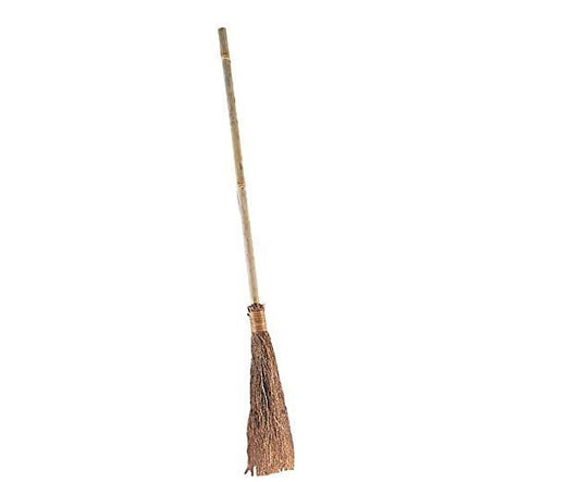 Adult Witch Broom