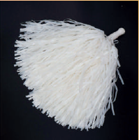 Think Pom poms