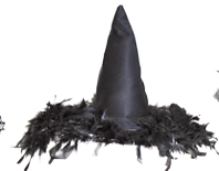 Hat-Witch-Feather