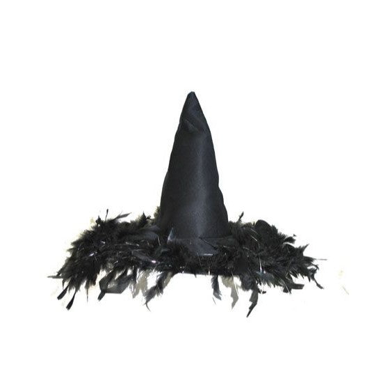 Hat-Witch-Feathers