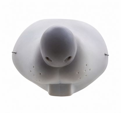 Nose Mask
