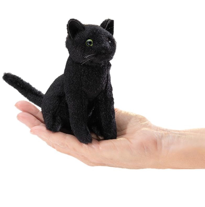 Cat, Black