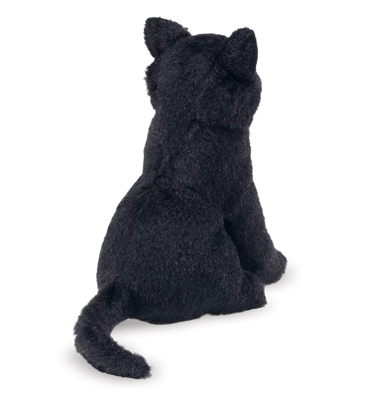 Cat, Black