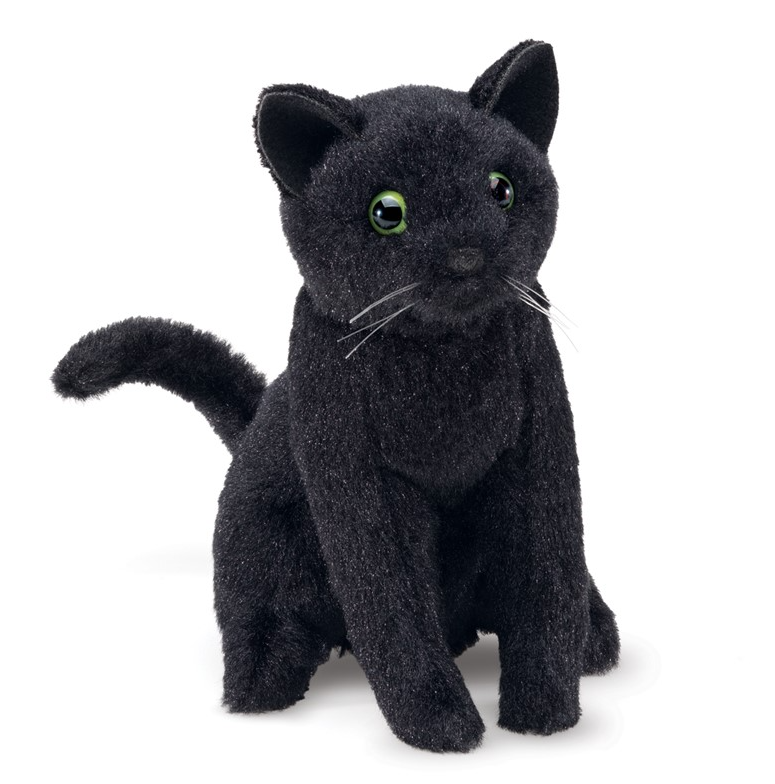 Cat, Black