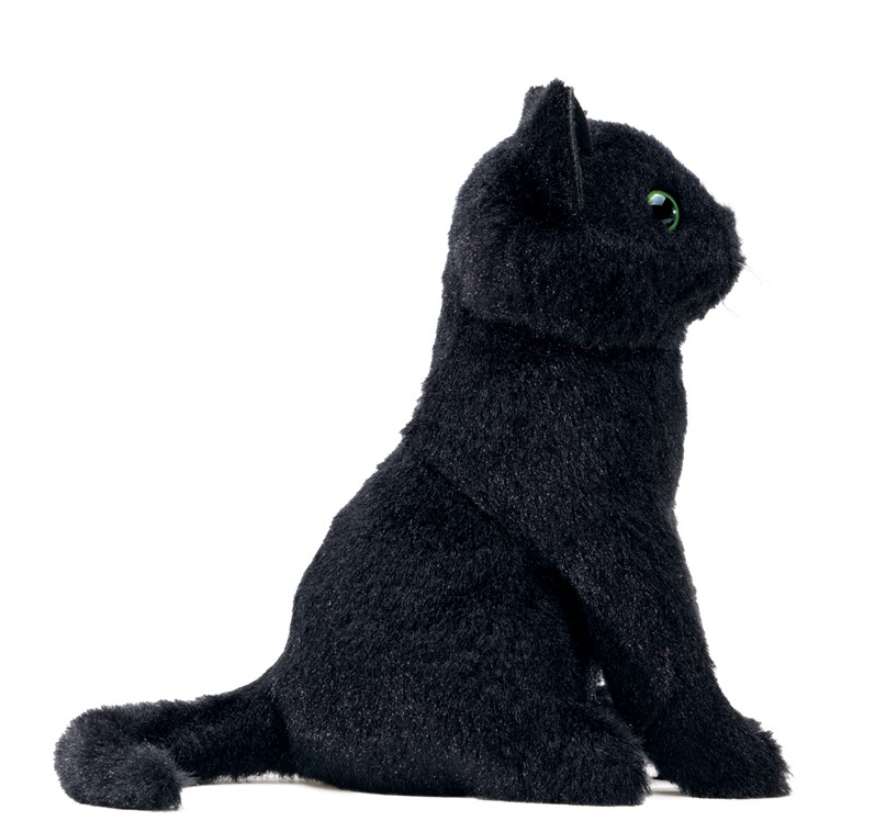 Cat, Black