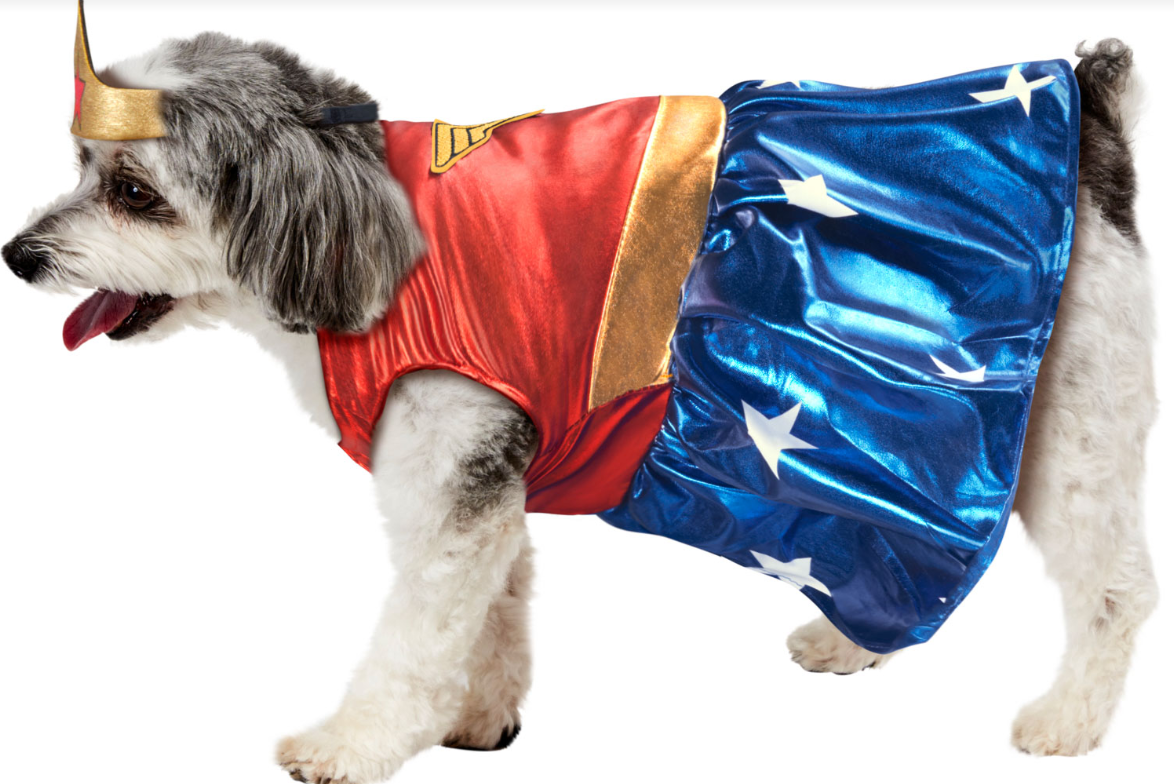 Wonder Woman Pet Costume