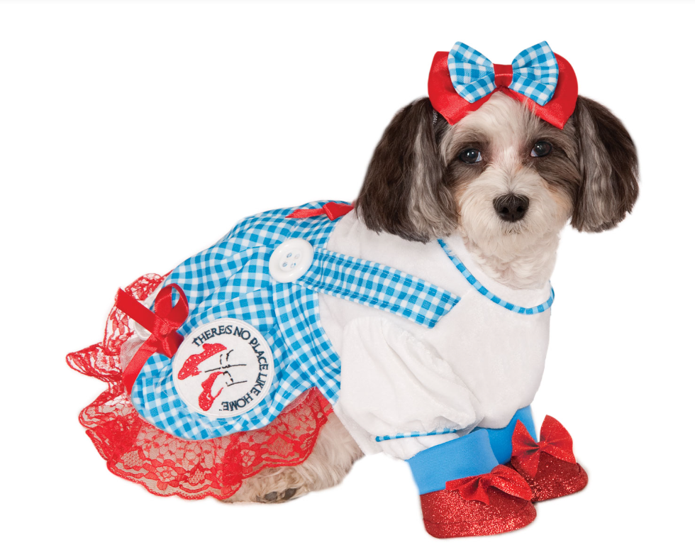Dorothy Pet Costume
