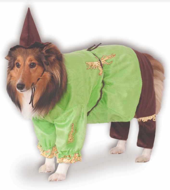 Scarecrow Pet Costume