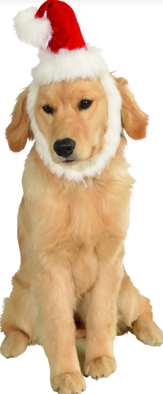 Santa Pet Hat With Beard