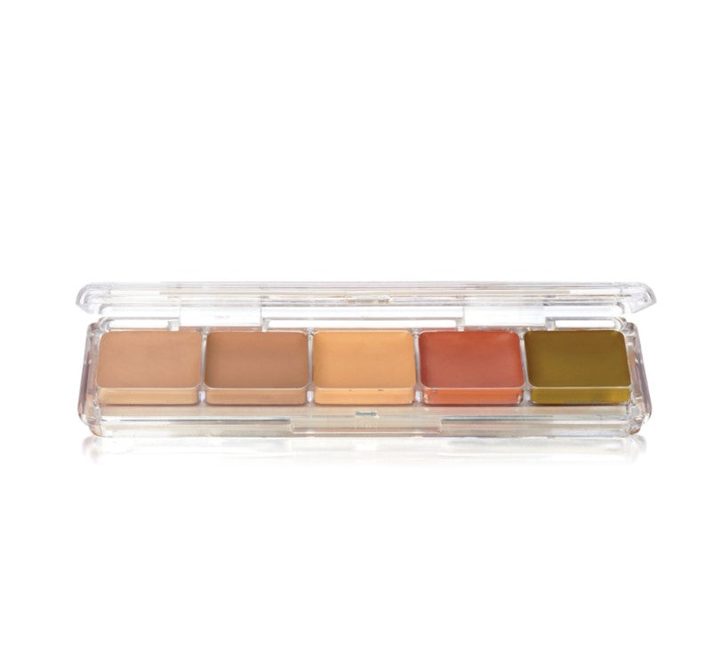 Concealer & Adjuster Palette