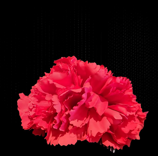 Carnation