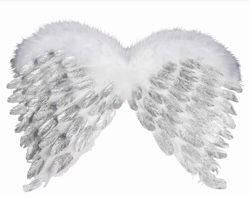 Angel Feather Wings With Glitter