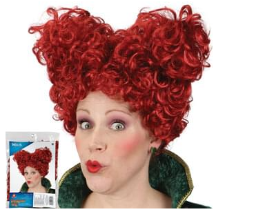 Pocus Hocus Witch Wig