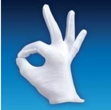 Gloves