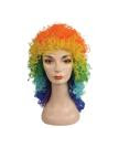 Wet Look Wig