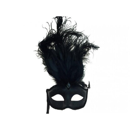 Feather Mask With Stick