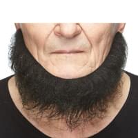 Gnome Fake Beard Black