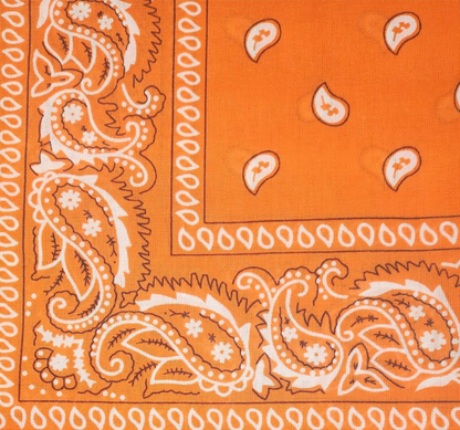 Bandana - Assorted