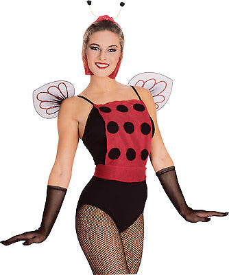 Ladybug Accessory Kit