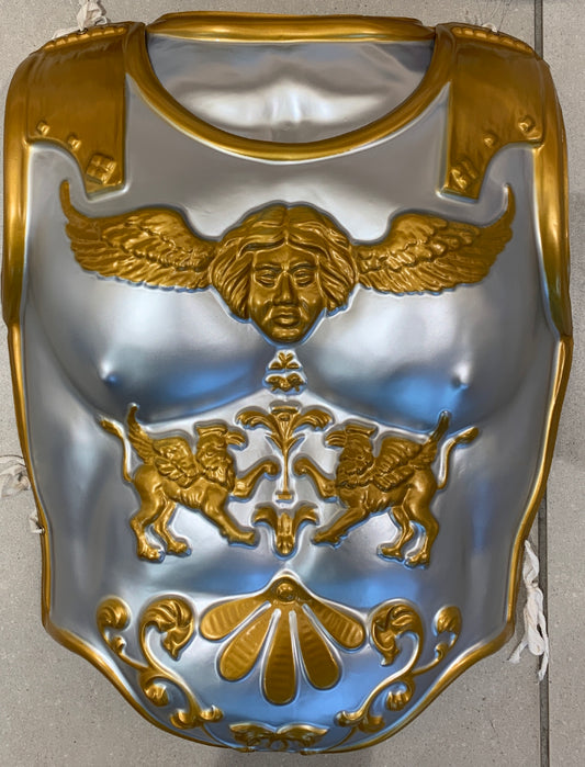 ROMAN ARMOR 2 Pieces