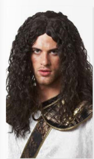 Barbarian Wig
