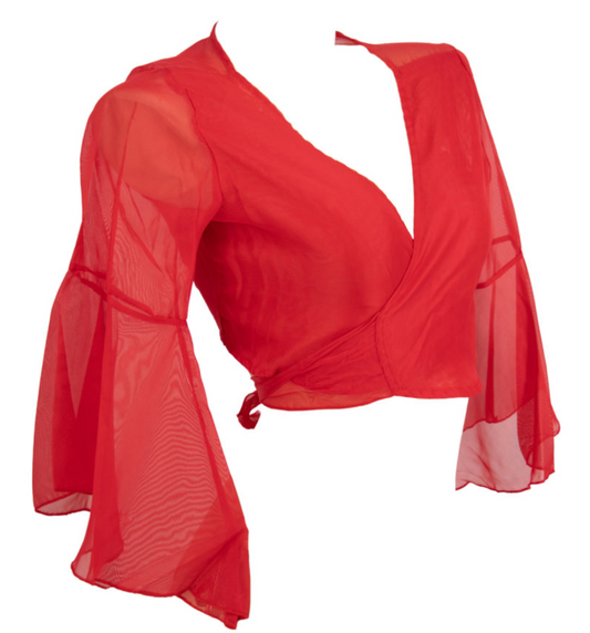 Chiffon Choli Top