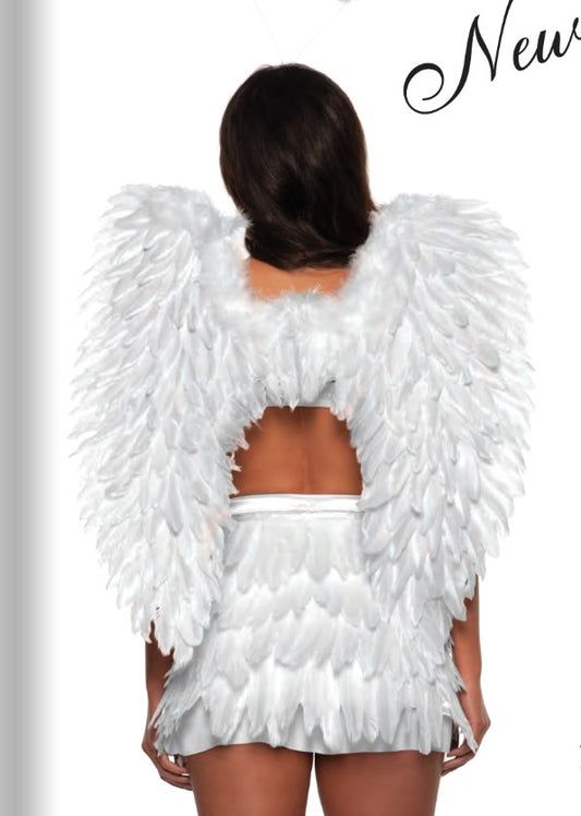 Wings Feather