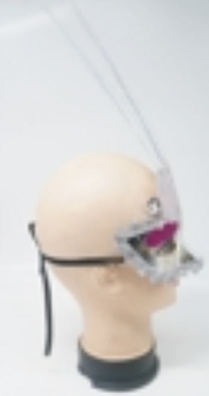 Mask