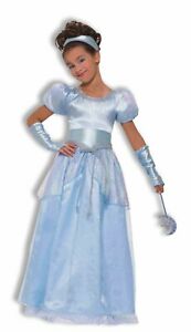 Silver Blue Princess Cinderella
