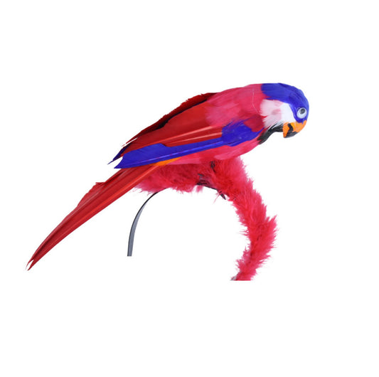 Shoulder Parrot Multi Color