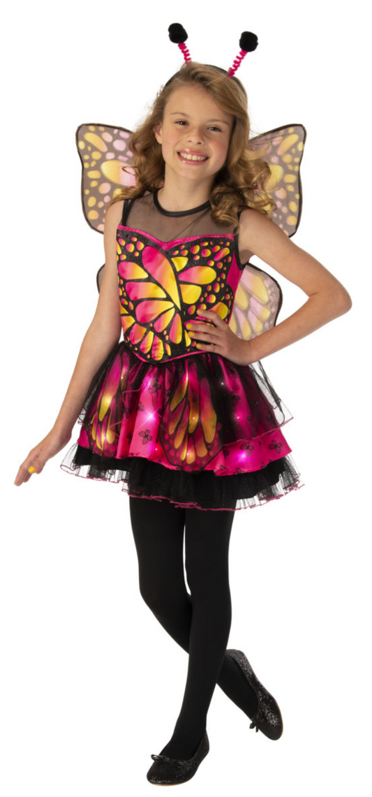 Bright Pink Butterfly