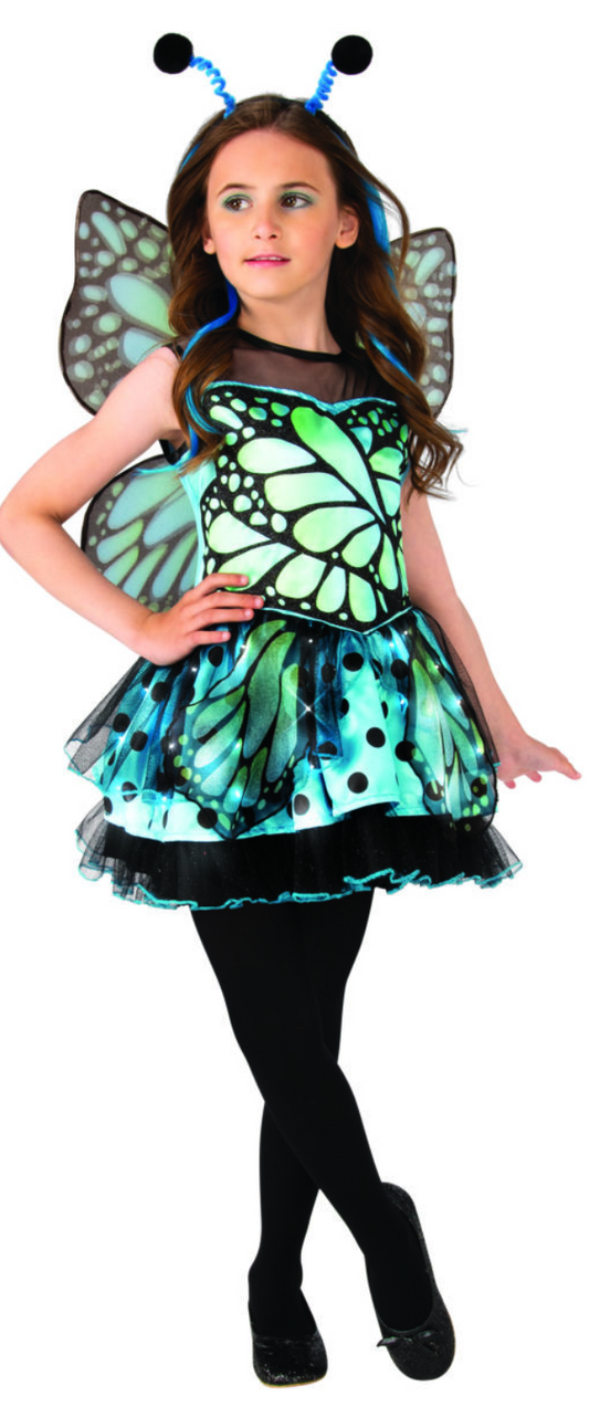 Blue Butterfly