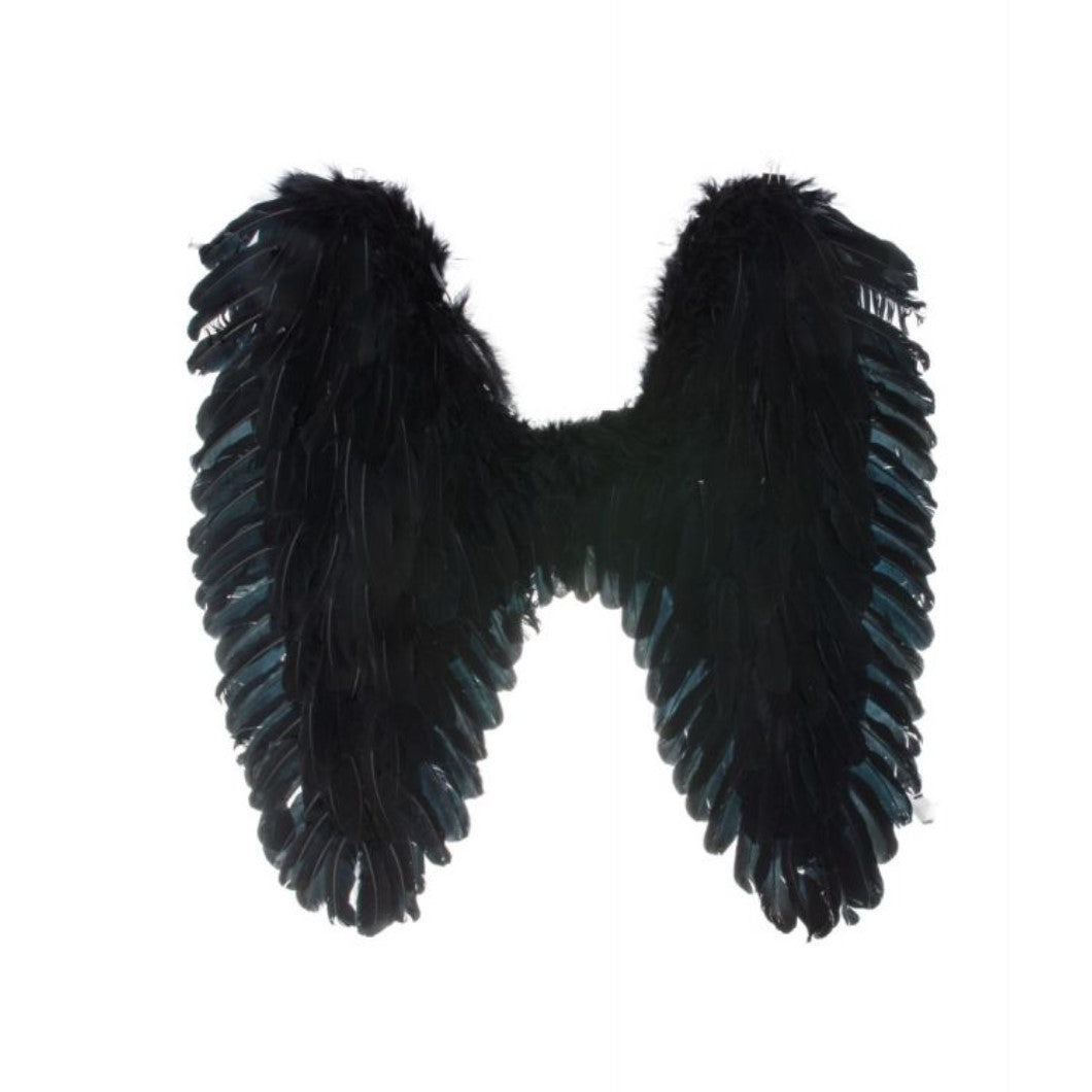 Feathered wings