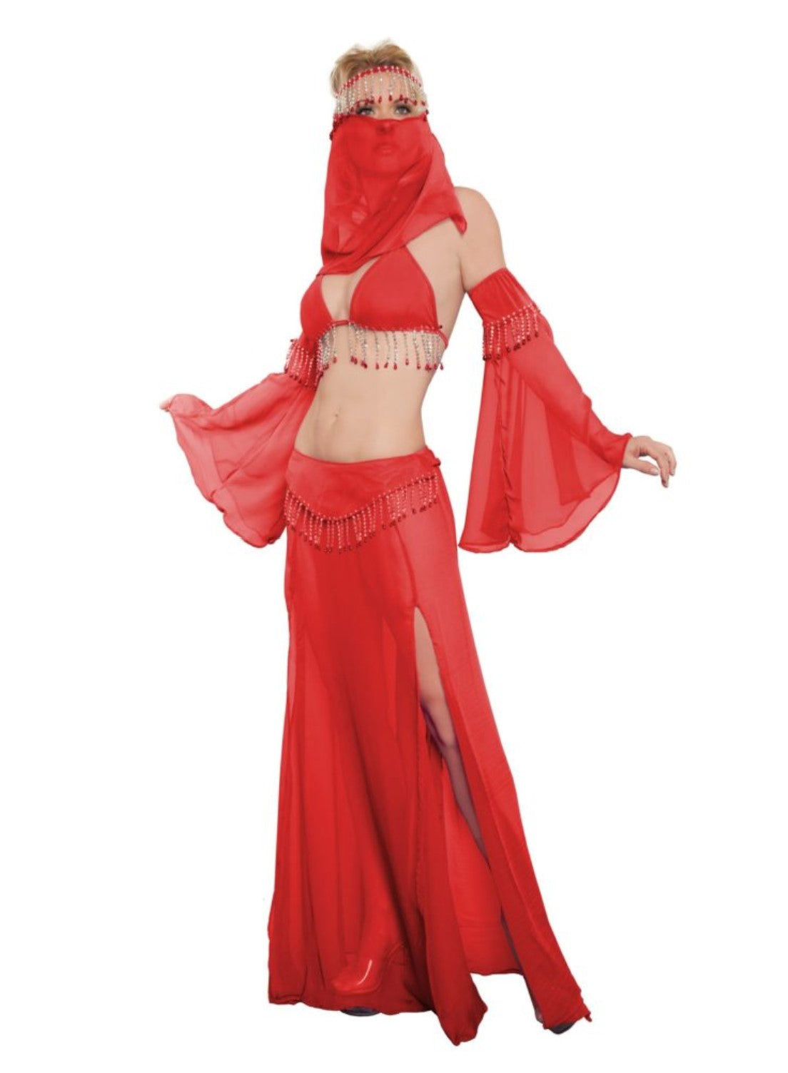 Belly Dancer Costume .