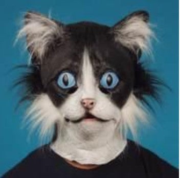 Cat Mask