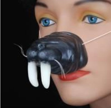 Seal Nose