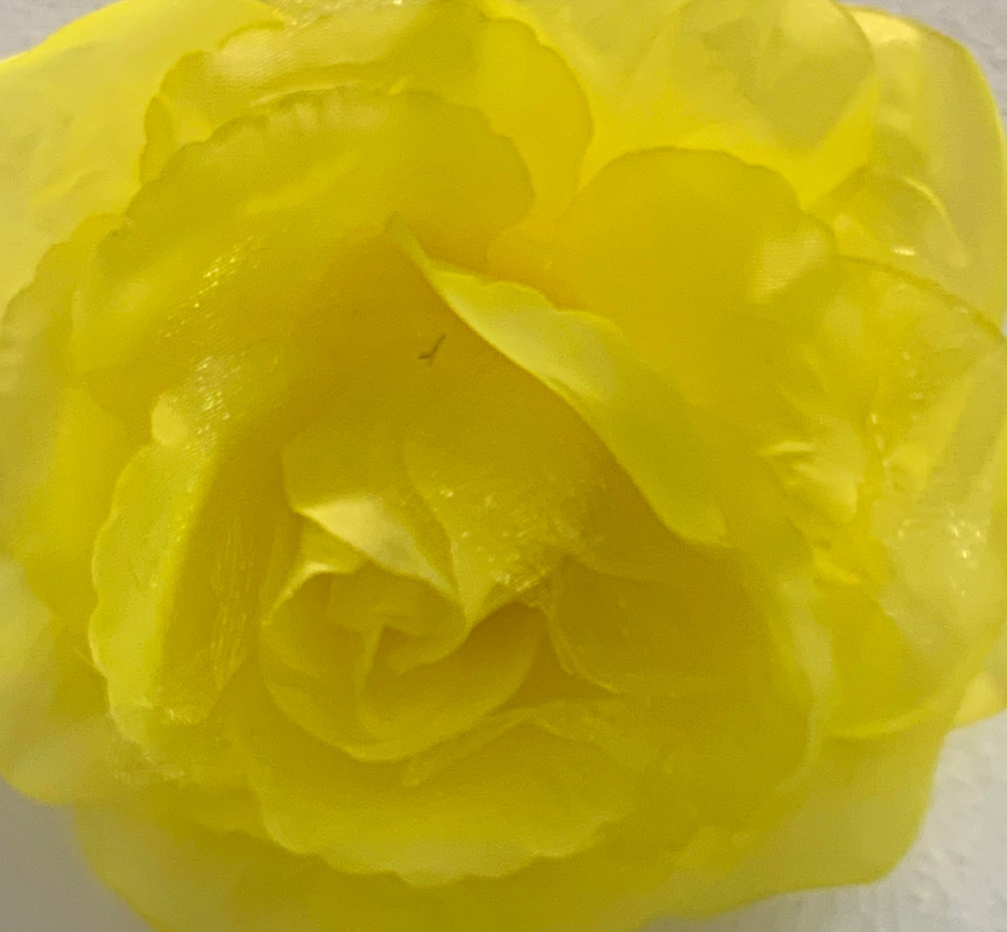 Flower Assorted