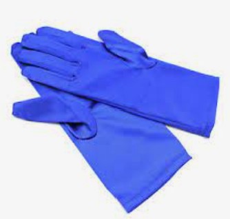 Short Adult Satin Gloves