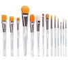 Paradise Makeup AQ Brushes